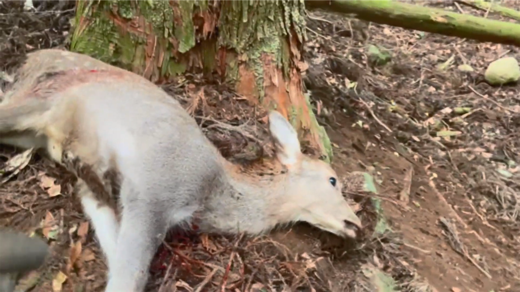 f:id:dreadnote666:20221114122708p:image