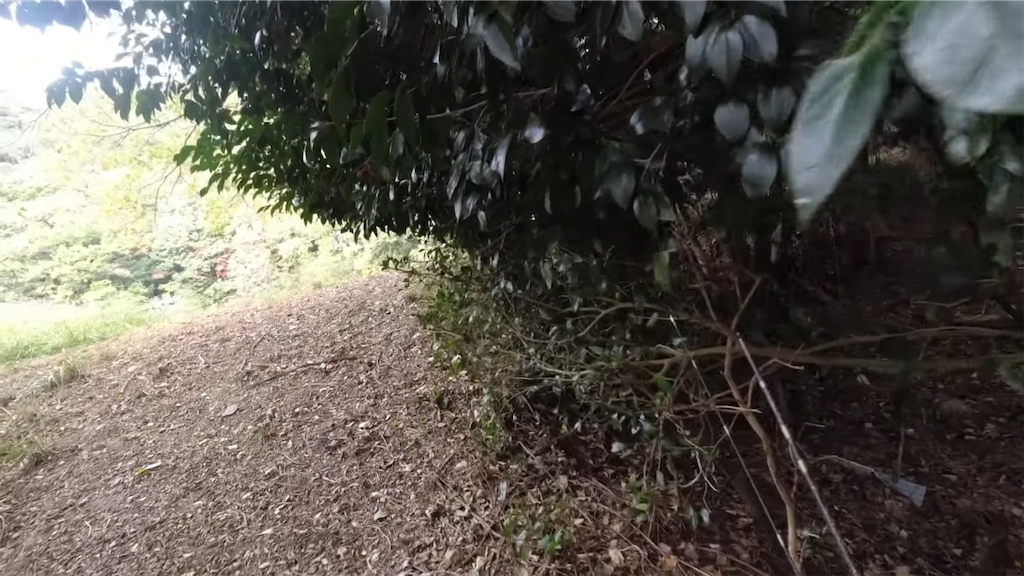 f:id:dreadnote666:20221121113530p:image