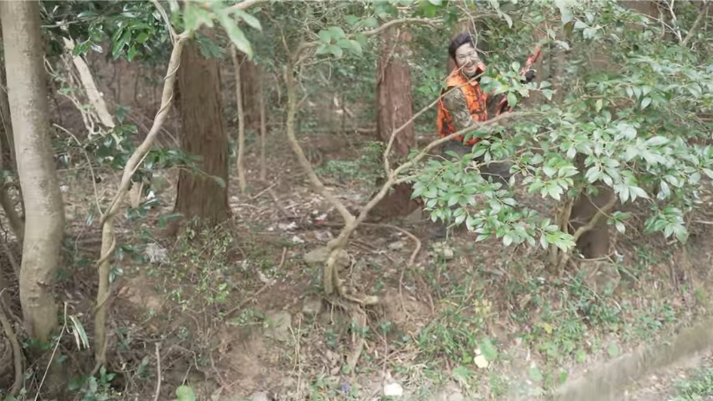 f:id:dreadnote666:20221121113627p:image