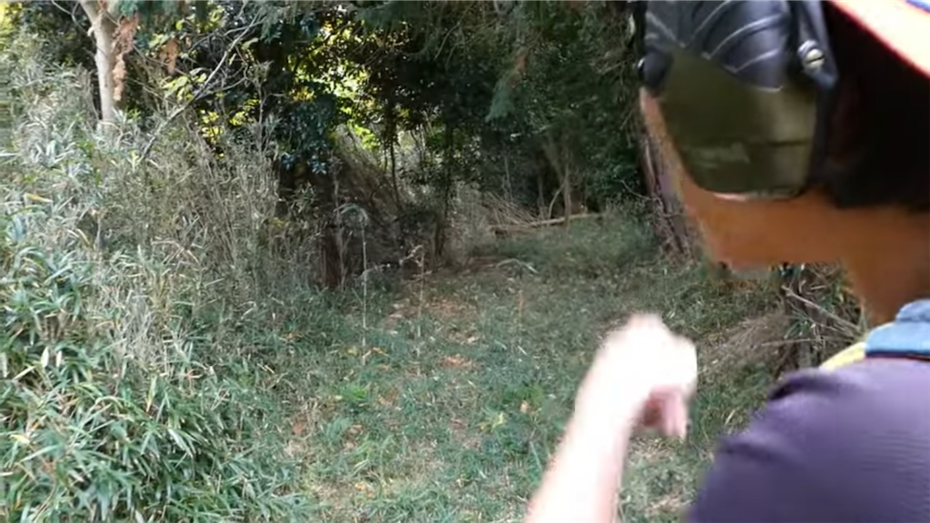 f:id:dreadnote666:20221121113659p:image