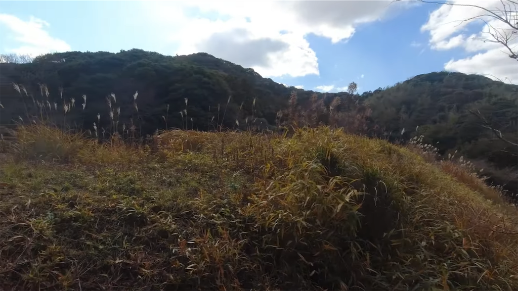 f:id:dreadnote666:20230105123809p:image