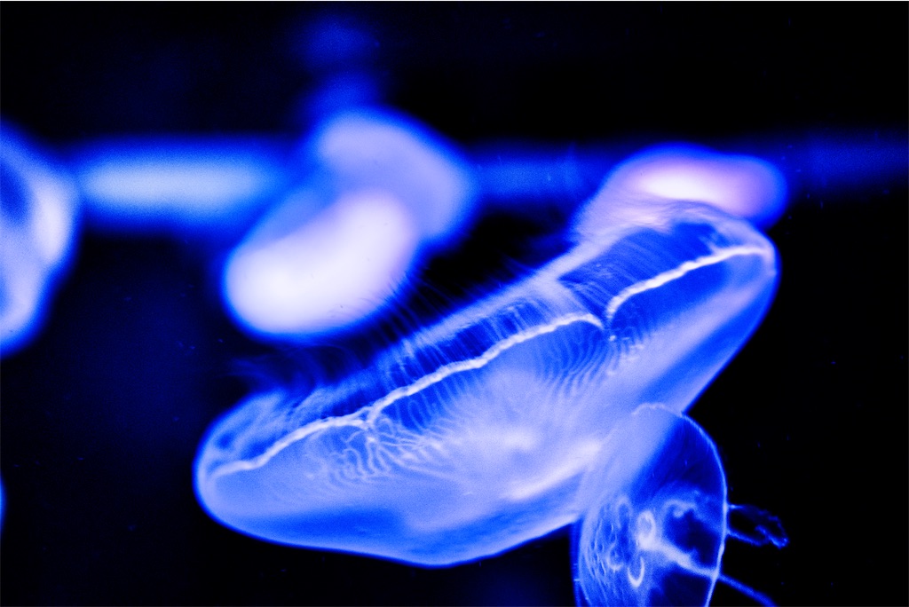 f:id:dreadnote666:20230207130705j:image