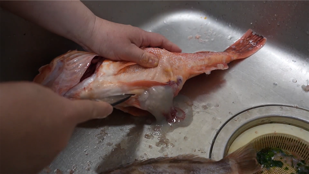 f:id:dreadnote666:20230208103413p:image