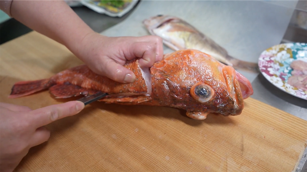 f:id:dreadnote666:20230208103441p:image