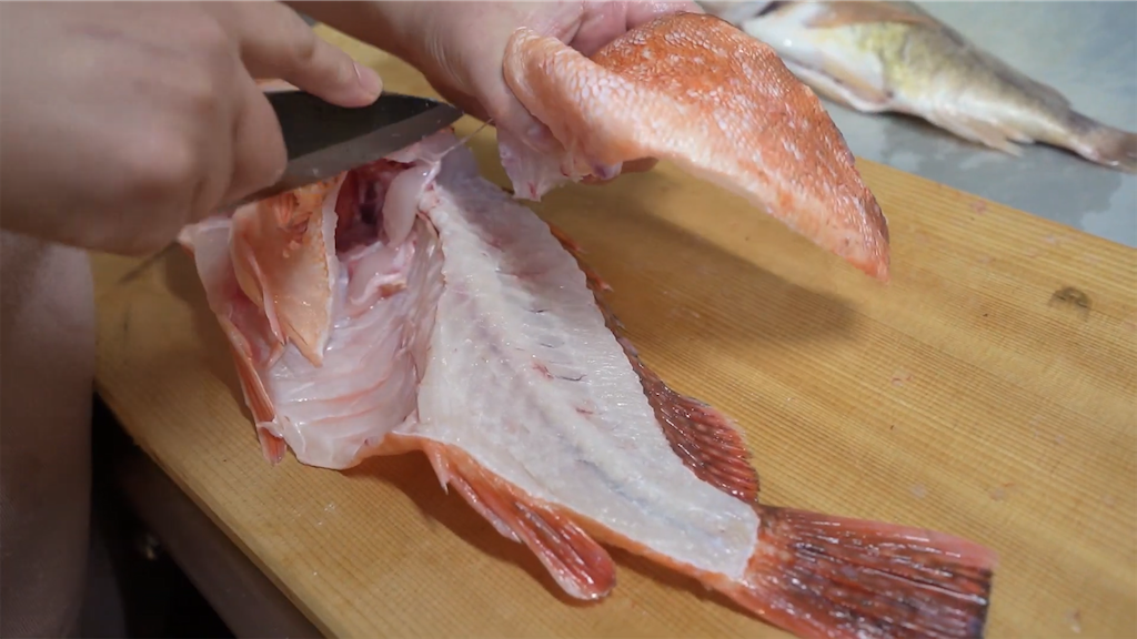 f:id:dreadnote666:20230208103453p:image