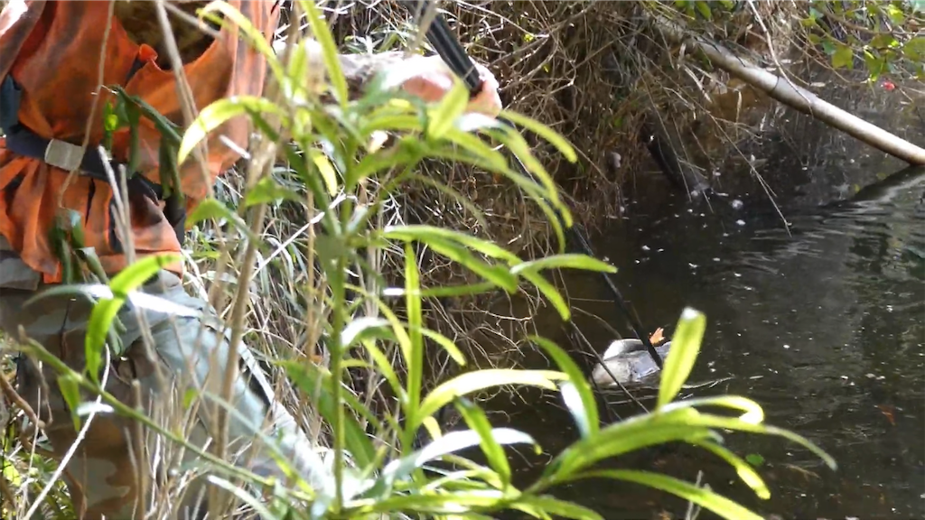 f:id:dreadnote666:20230213112054p:image f:id:dreadnote666:20230213112054p:image