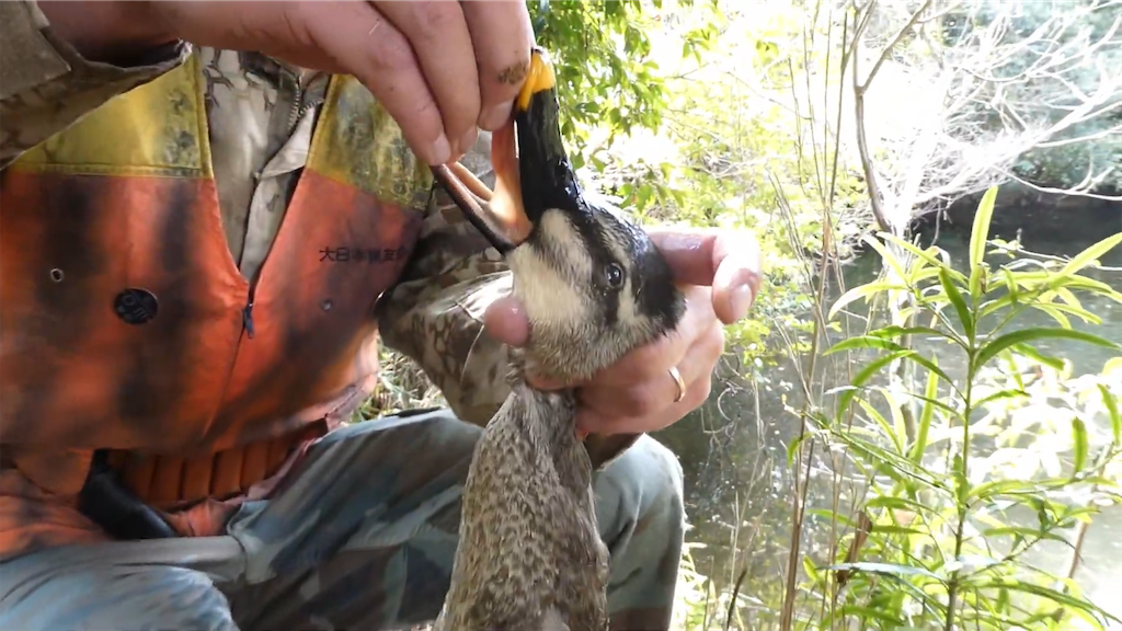 f:id:dreadnote666:20230213112109p:image f:id:dreadnote666:20230213112109p:image