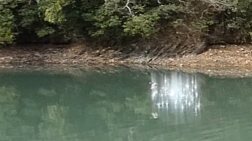 f:id:dreadnote666:20230213112208p:image f:id:dreadnote666:20230213112208p:image