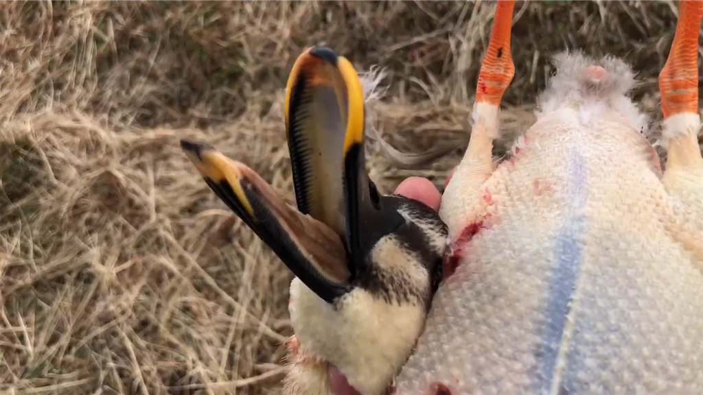 f:id:dreadnote666:20230213112224p:image f:id:dreadnote666:20230213112224p:image