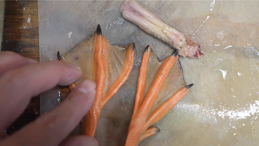 f:id:dreadnote666:20230221115142p:image