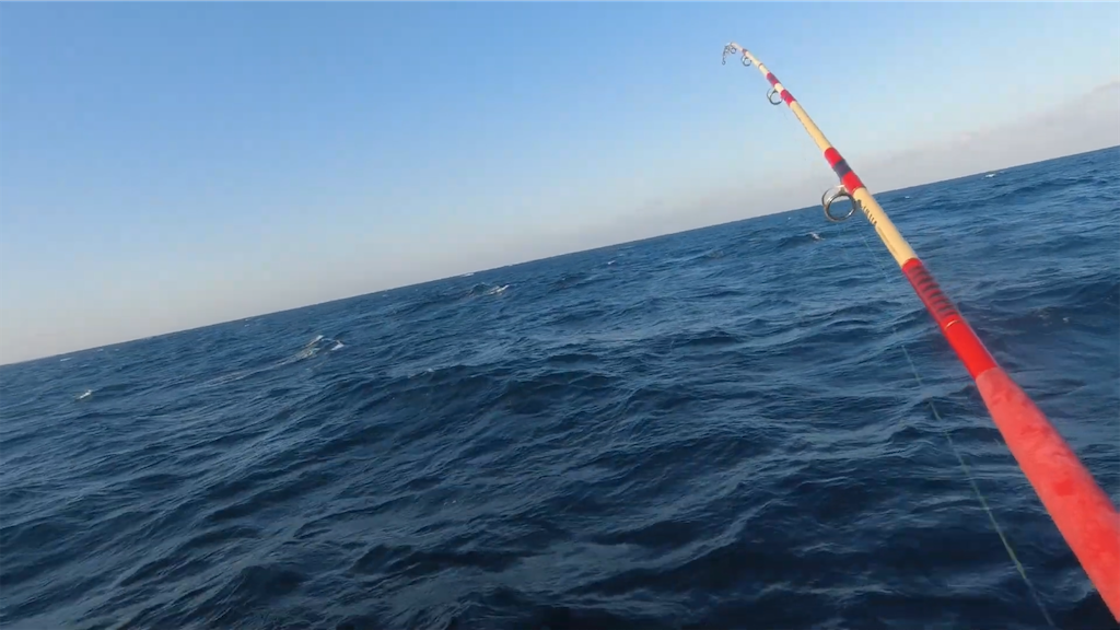 f:id:dreadnote666:20230306083528p:image