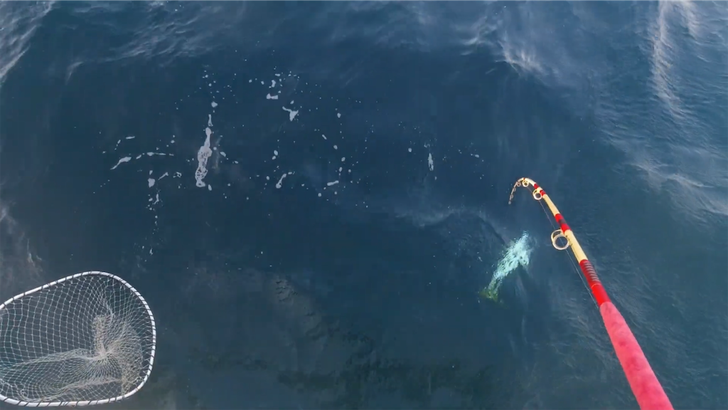 f:id:dreadnote666:20230306083537p:image