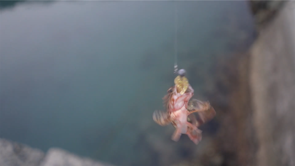 f:id:dreadnote666:20230313120751p:image