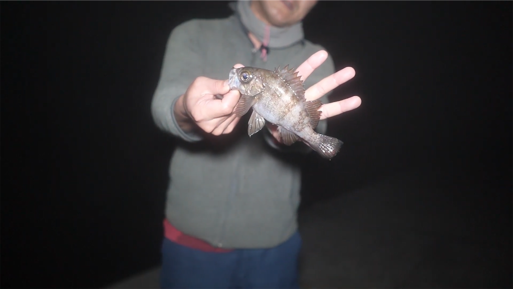 f:id:dreadnote666:20230313120934p:image