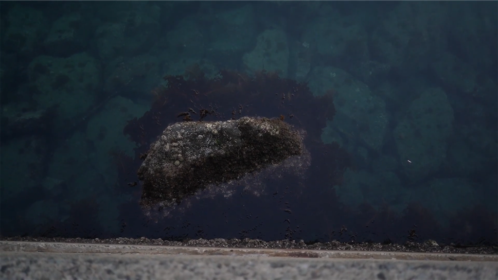 f:id:dreadnote666:20230313121053p:image