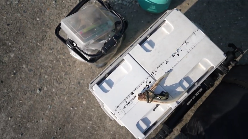 f:id:dreadnote666:20230508120412p:image