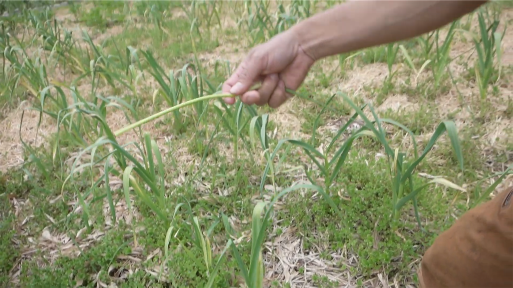 f:id:dreadnote666:20230512111124p:image