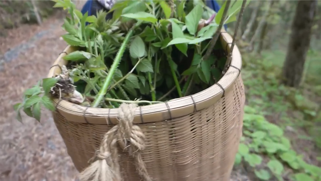 f:id:dreadnote666:20230512111306p:image