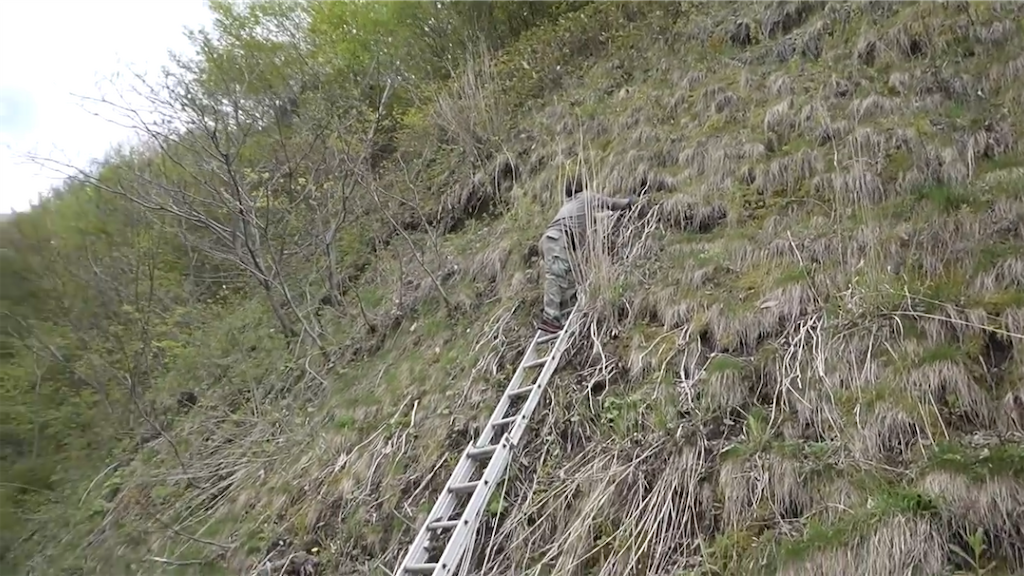 f:id:dreadnote666:20230512111413p:image