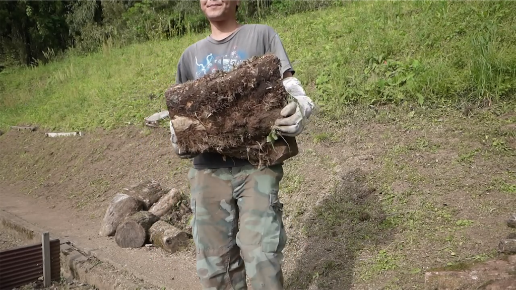 f:id:dreadnote666:20230512111450p:image