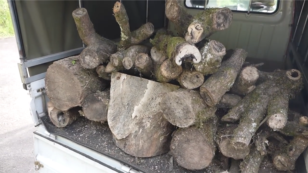 f:id:dreadnote666:20230512111458p:image