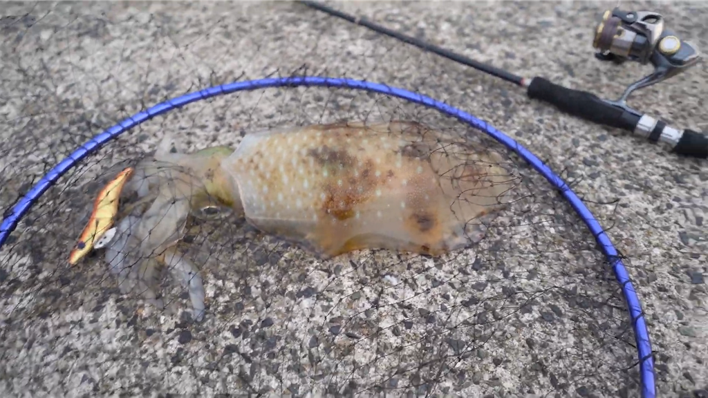 f:id:dreadnote666:20230612111816p:image