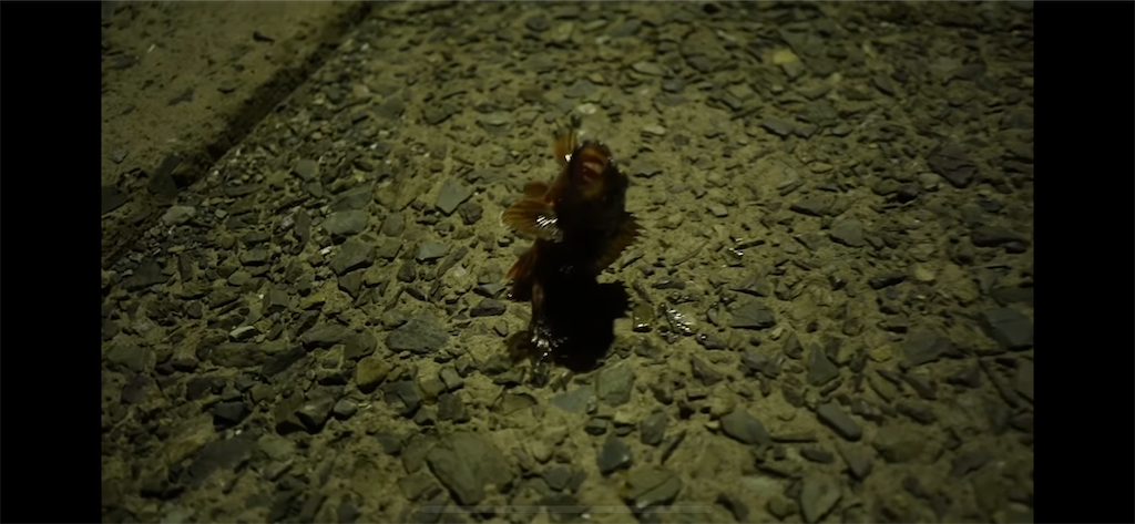 f:id:dreadnote666:20230725121357p:image