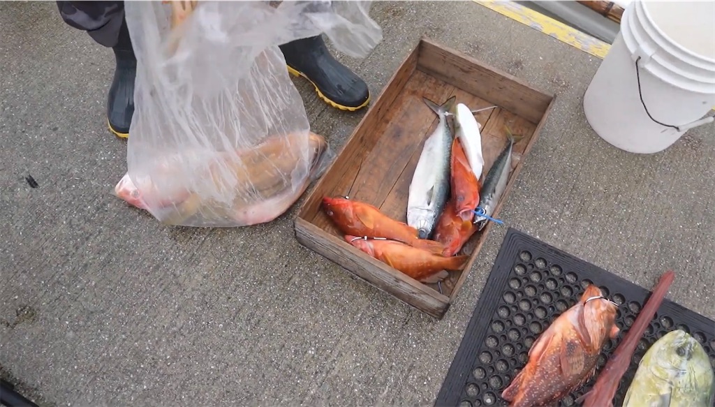 f:id:dreadnote666:20231002121936j:image