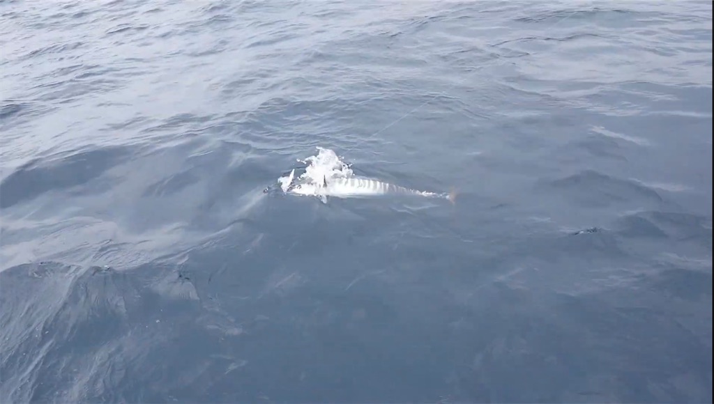 f:id:dreadnote666:20231002121947j:image