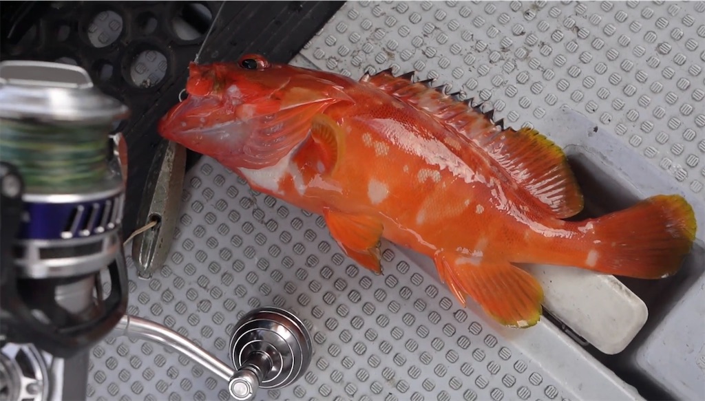 f:id:dreadnote666:20231002121951j:image