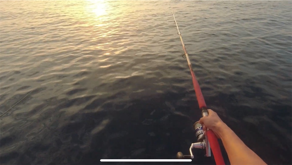 f:id:dreadnote666:20231002122554j:image