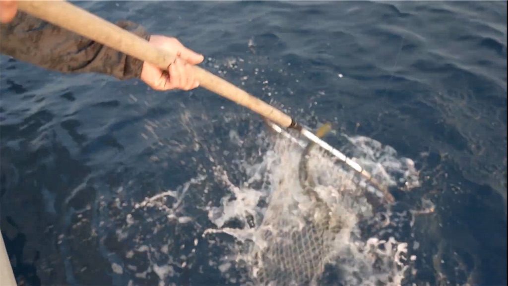 f:id:dreadnote666:20231002122558j:image