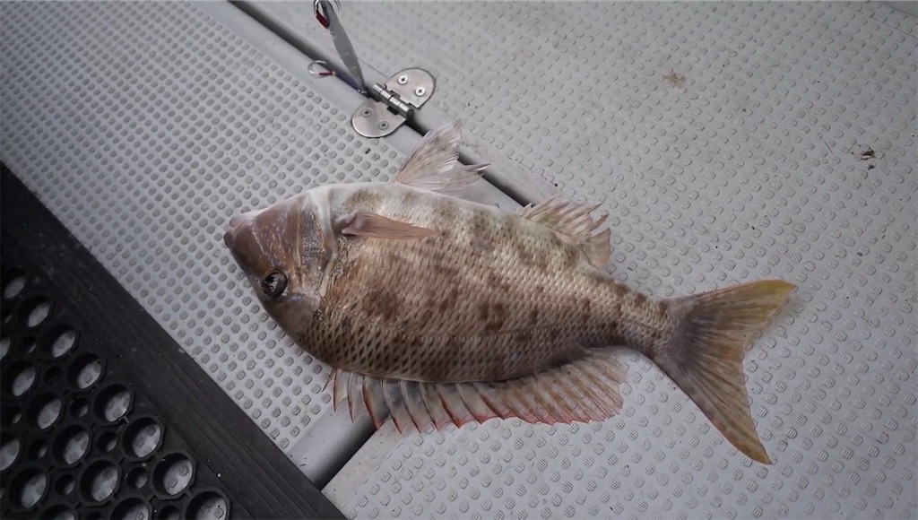 f:id:dreadnote666:20231002122626j:image