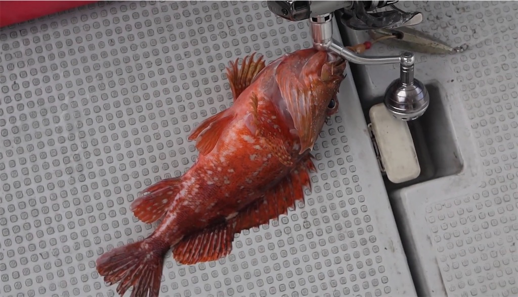 f:id:dreadnote666:20231002122708j:image