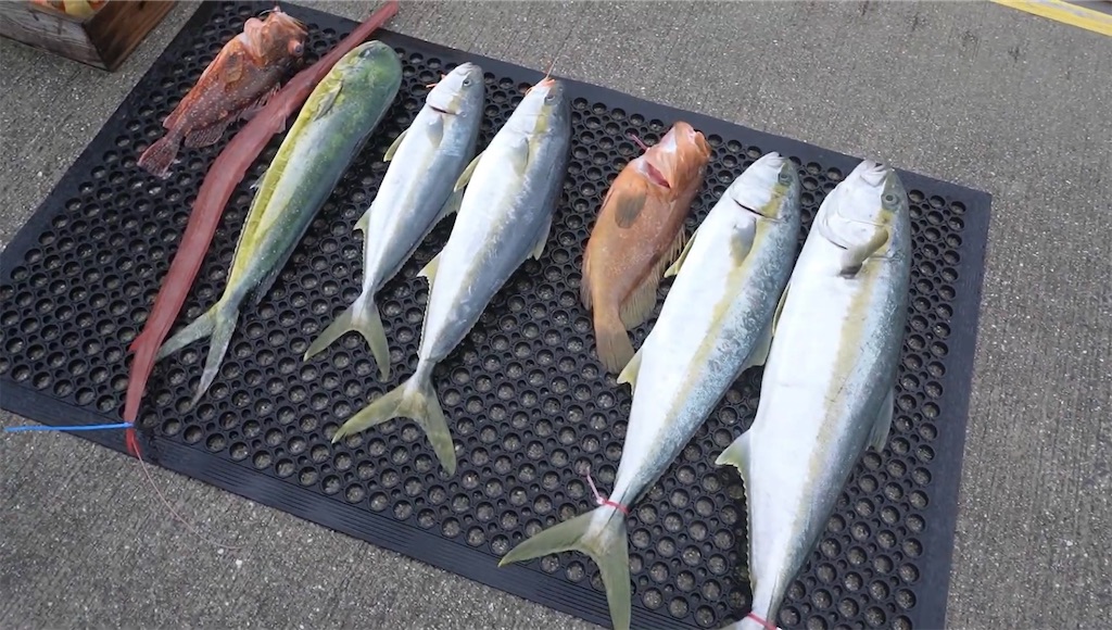 f:id:dreadnote666:20231002122825j:image