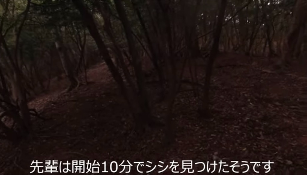 f:id:dreadnote666:20231114121404j:image