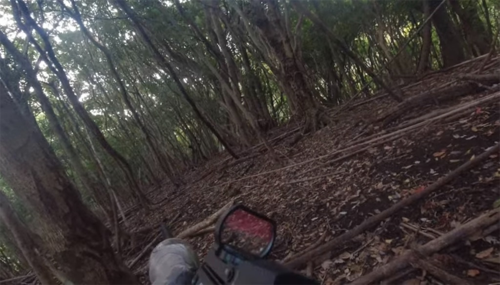 f:id:dreadnote666:20231114121801j:image