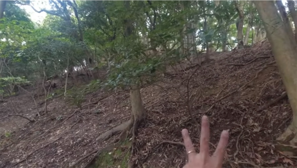 f:id:dreadnote666:20231114121836j:image