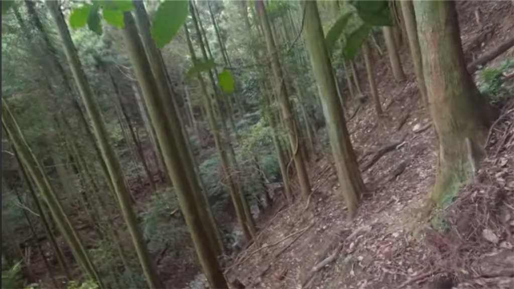 f:id:dreadnote666:20231114121856j:image