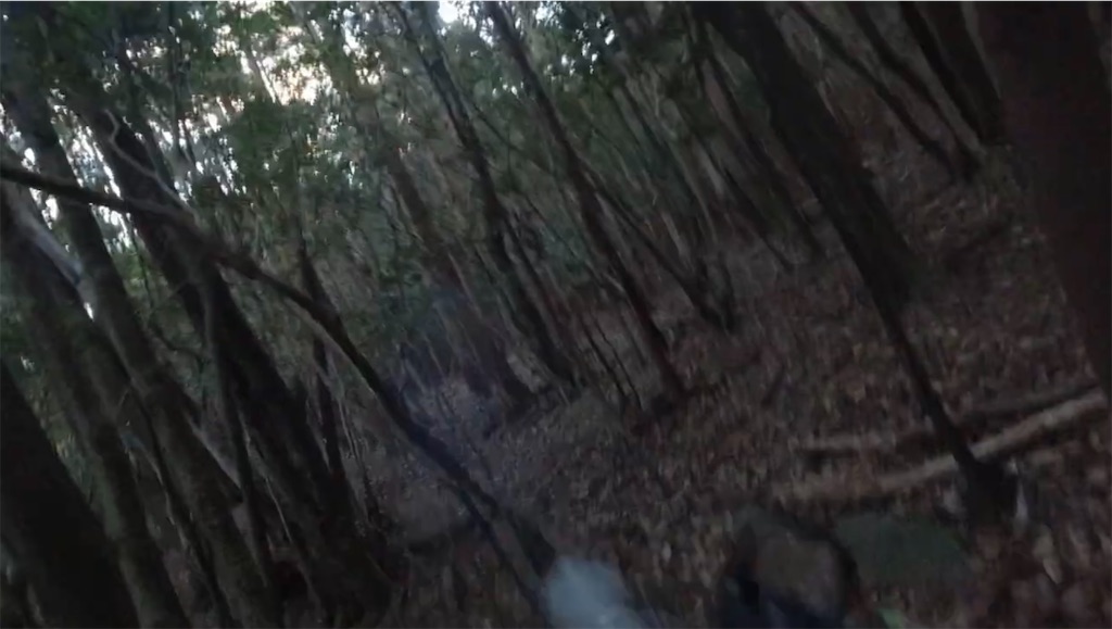 f:id:dreadnote666:20231127122244j:image