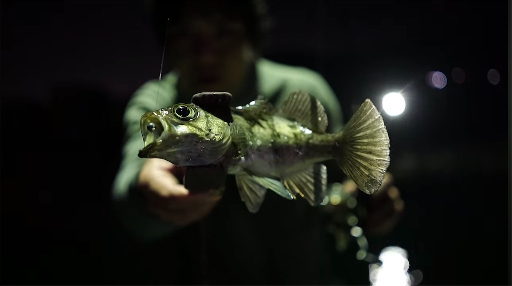 f:id:dreadnote666:20240109123023j:image f:id:dreadnote666:20240109123023j:image