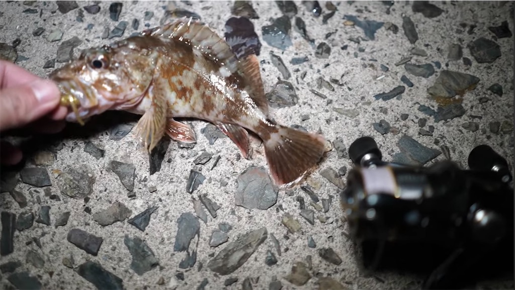 f:id:dreadnote666:20240109123042j:image f:id:dreadnote666:20240109123042j:image