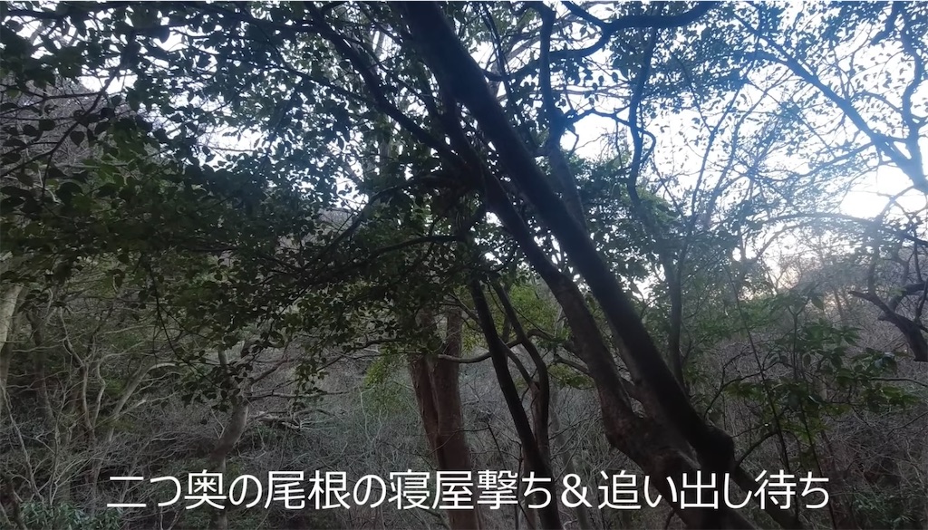 f:id:dreadnote666:20240223101148j:image