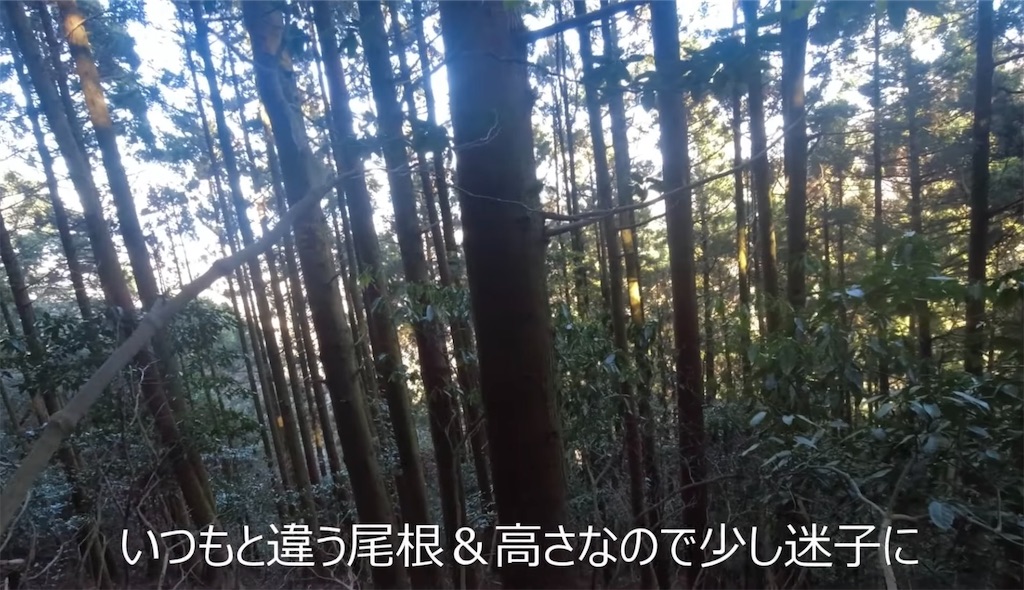 f:id:dreadnote666:20240223101202j:image