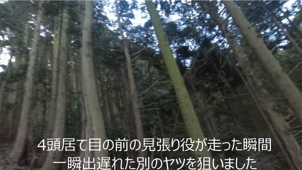 f:id:dreadnote666:20240223101212j:image