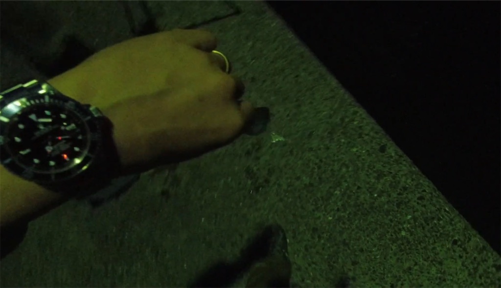 f:id:dreadnote666:20240422105232j:image