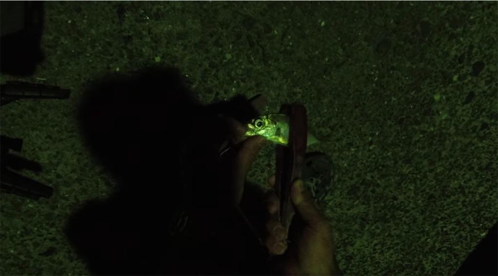 f:id:dreadnote666:20240520191150j:image f:id:dreadnote666:20240520191150j:image