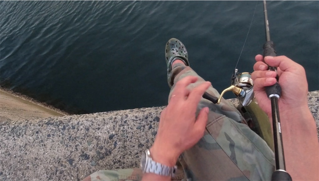 f:id:dreadnote666:20240708123642j:image