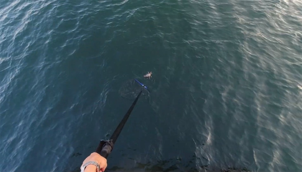 f:id:dreadnote666:20240708123651j:image