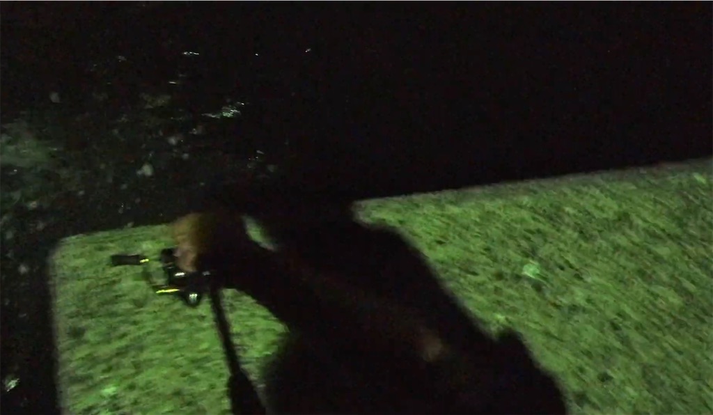 f:id:dreadnote666:20240708123654j:image